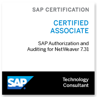 SAP Authorization and Auditing